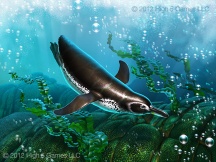 Illustration of Galapagos Penguin underwater. Digital artwork by Christopher Johnson.